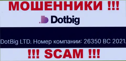 Регистрационный номер мошенников DotBig, предоставленный ими на их интернет-портале: 26350 BC 2021