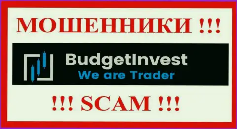 BudgetInvest - это РАЗВОДИЛЫ !!! Финансовые средства назад не возвращают !!!