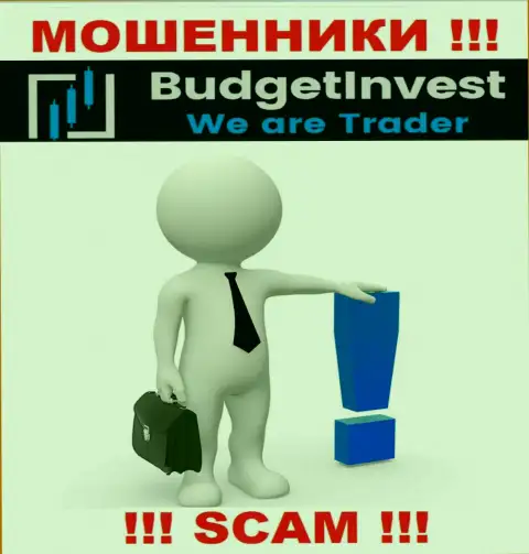 Budget Invest - это интернет-ворюги !!! Не сообщают, кто ими управляет