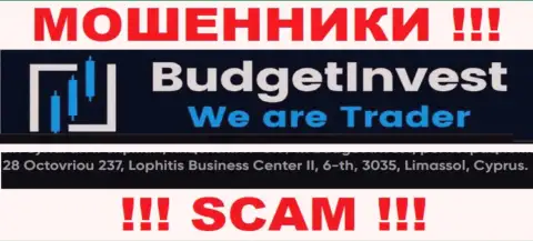 Не связывайтесь с конторой Budget Invest - эти кидалы сидят в офшоре по адресу - 8 Octovriou 237, Lophitis Business Center II, 6-th, 3035, Limassol, Cyprus