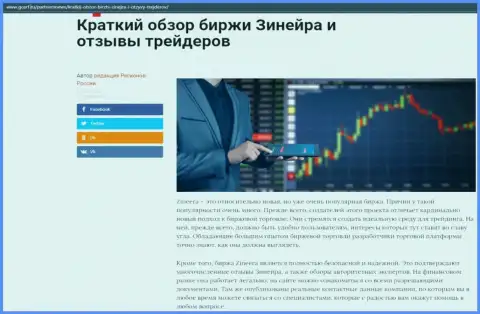Сжатый разбор биржевой компании Zineera приведен на сайте GosRf Ru