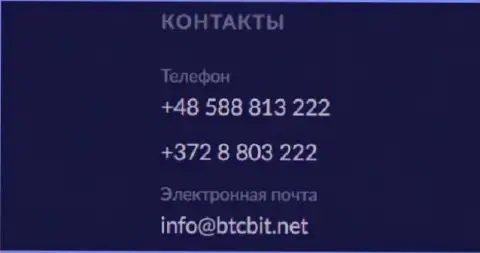 Телефон и электронка обменного онлайн-пункта БТЦБит Нет